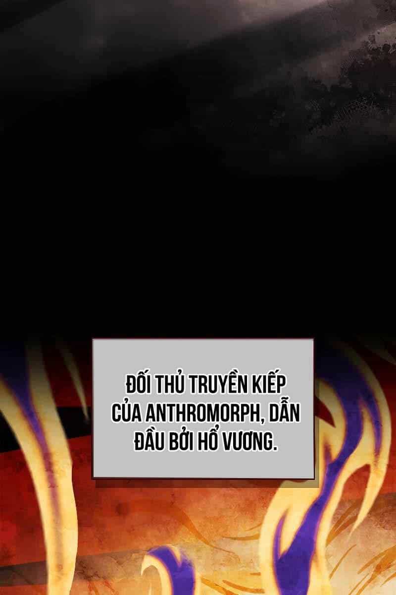 Thiên Tài Ma Pháp Sư Giấu Nghề - Chương 63 - ảnh 24