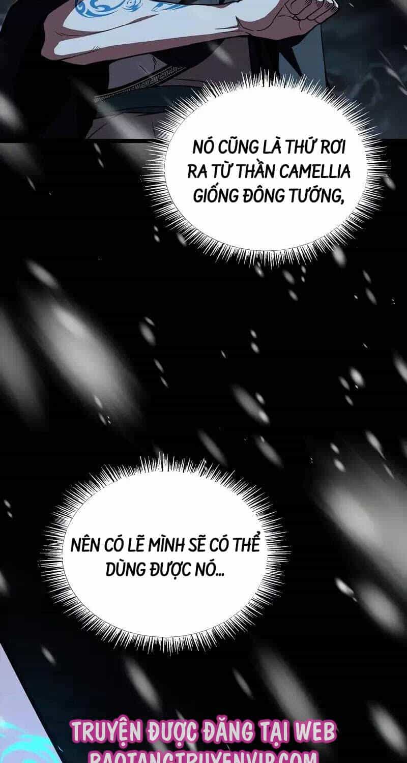 Thiên Tài Ma Pháp Sư Giấu Nghề - Chương 80 - ảnh 50