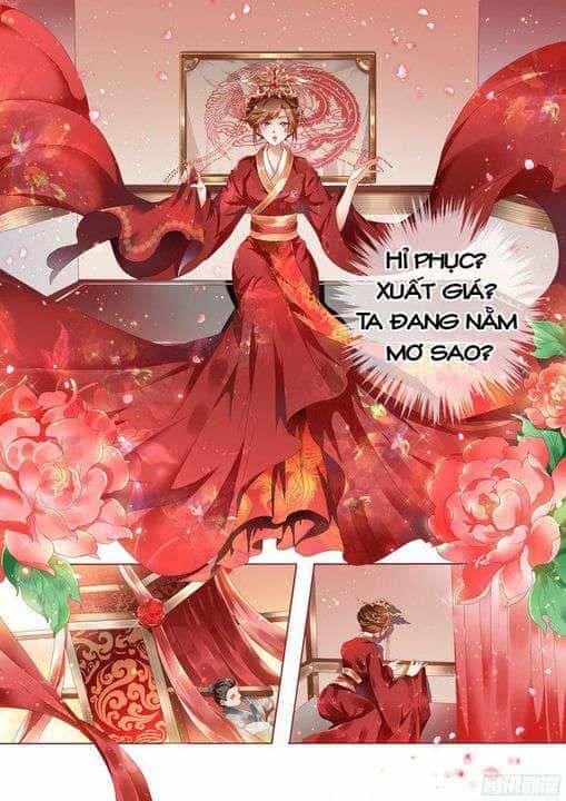 Thiên Tài Tiểu Độc Phi - Chương 1 - ảnh 3