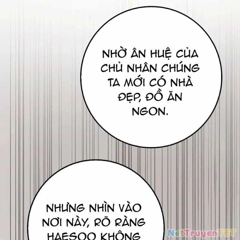 Thiên Tài Võ Thuật Hồi Quy - Chương 79 - ảnh 42