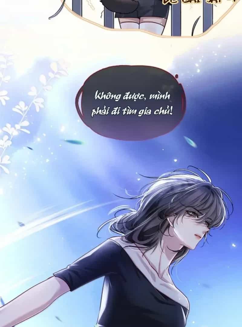 Thiết Lập Yêu Cầu Em Yêu Tôi - Chương 23 - ảnh 23