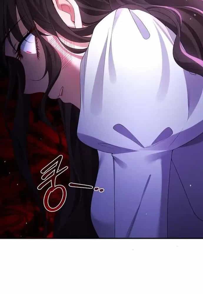 Thiếu Nữ Bị Ruồng Bỏ: Kế Hoạch Báo Thù Của Gia Tộc Pháp Sư - Chương 1 - ảnh 111
