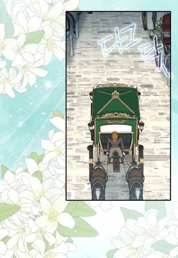 Thiếu Nữ Bị Ruồng Bỏ: Kế Hoạch Báo Thù Của Gia Tộc Pháp Sư - Chương 34 - ảnh 42