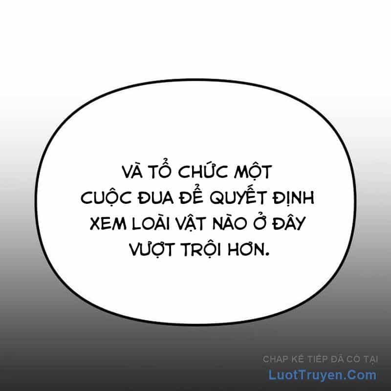 Thiếu Nữ Hoàng Đạo - Chương 50 - ảnh 15