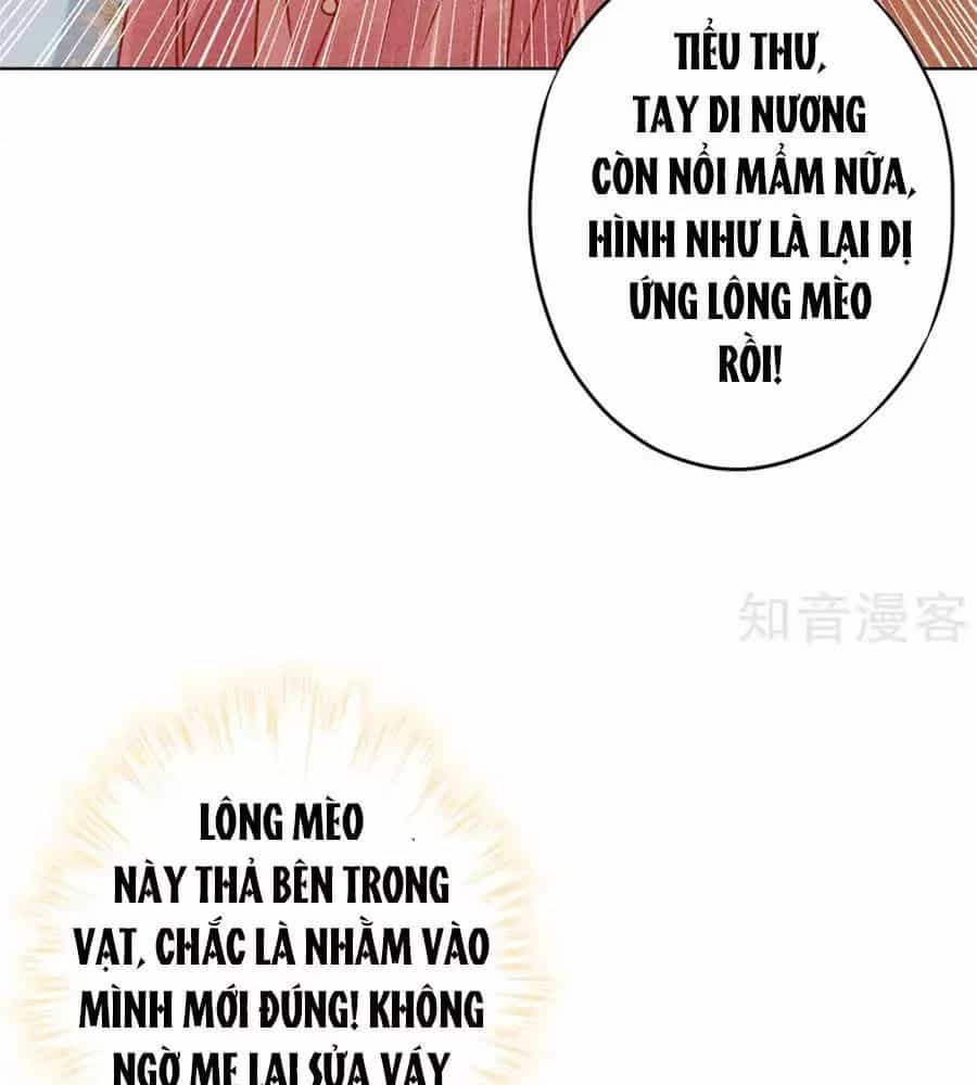 Thiếu Soái, Vợ Anh Muốn Lật Trời! - Chương 35 - ảnh 37