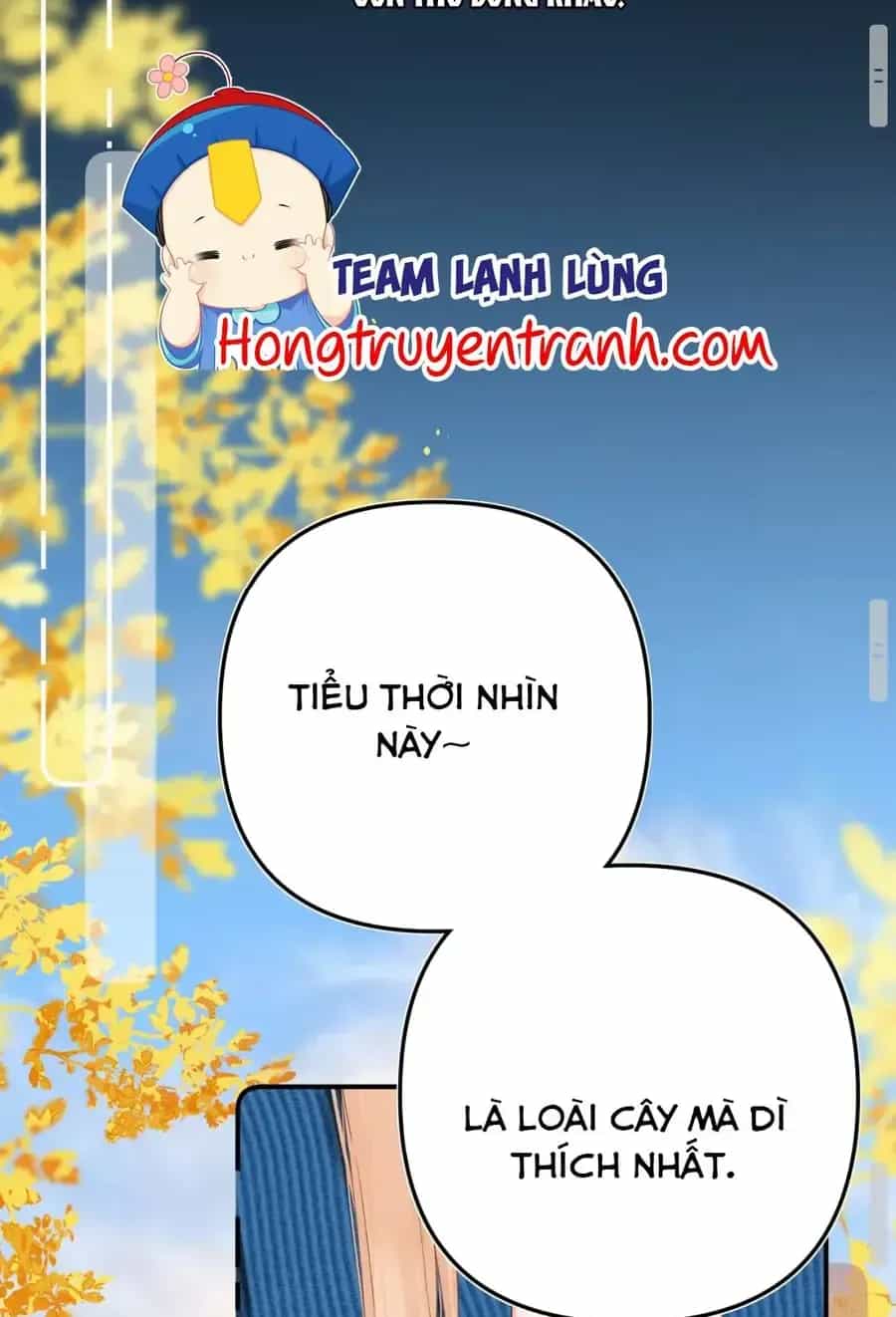 Thỉnh Đa Loan Chiếu - Chương 51 - ảnh 42