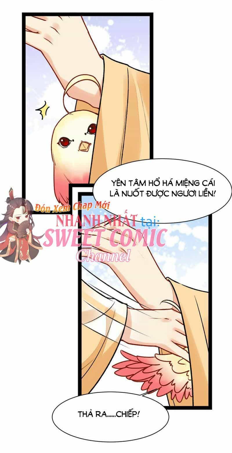 Thịnh Sủng Kiều Nữ Trở Về Triều Ca - Chương 32 - ảnh 11