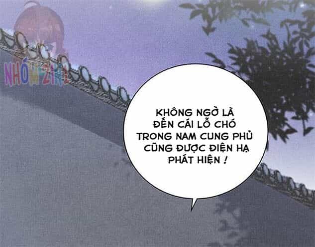 Thịnh Sủng Y Phi Chi Dao Quan Truyện - Chương 149 - ảnh 3
