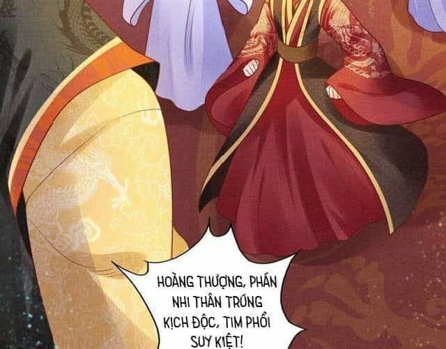 Thịnh Sủng Y Phi Chi Dao Quan Truyện - Chương 49 - ảnh 11