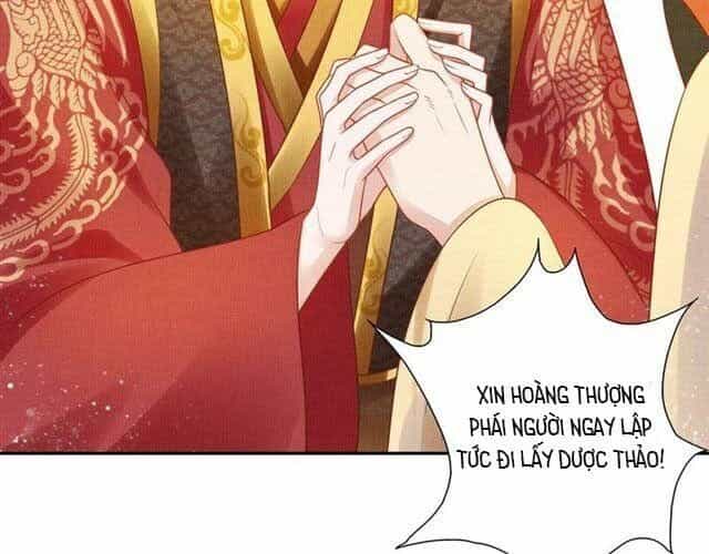Thịnh Sủng Y Phi Chi Dao Quan Truyện - Chương 49 - ảnh 22