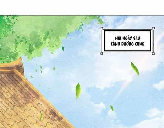 Thịnh Sủng Y Phi Chi Dao Quan Truyện - Chương 51 - ảnh 3