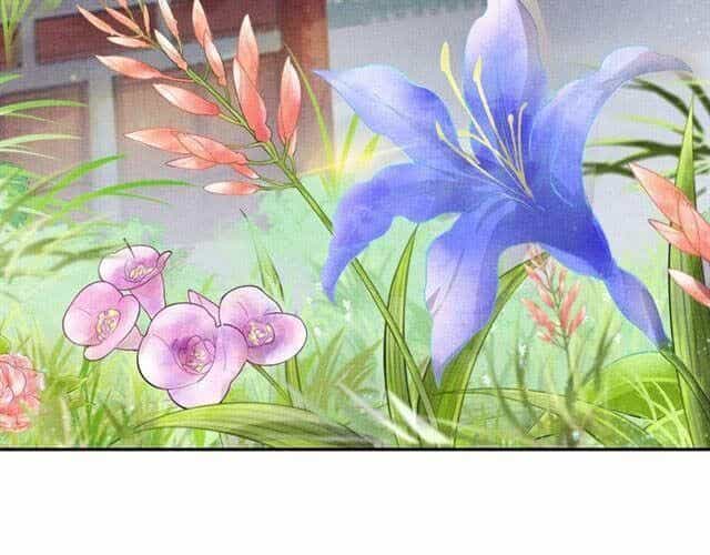 Thịnh Sủng Y Phi Chi Dao Quan Truyện - Chương 62 - ảnh 42