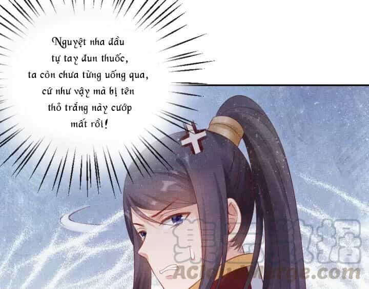 Thịnh Sủng Y Phi Chi Dao Quan Truyện - Chương 79 - ảnh 27
