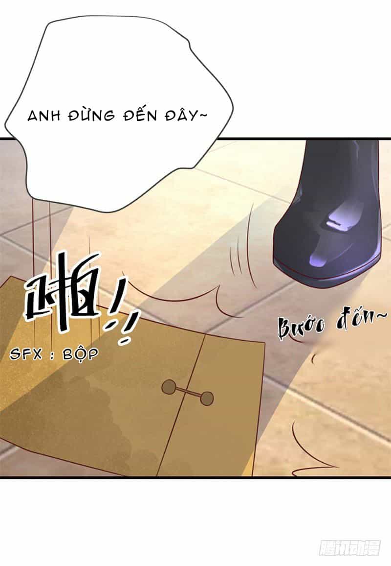 Thịnh Thế Hoa Sủng: Tôi Bị Bắt Làm Tù Binh - Chương 2 - ảnh 13