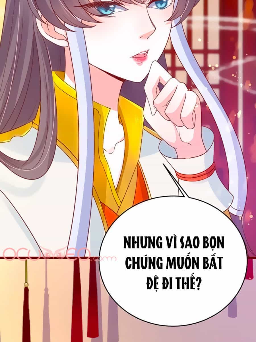Thịnh Thế Lê Hoa Điện - Chương 21 - ảnh 33