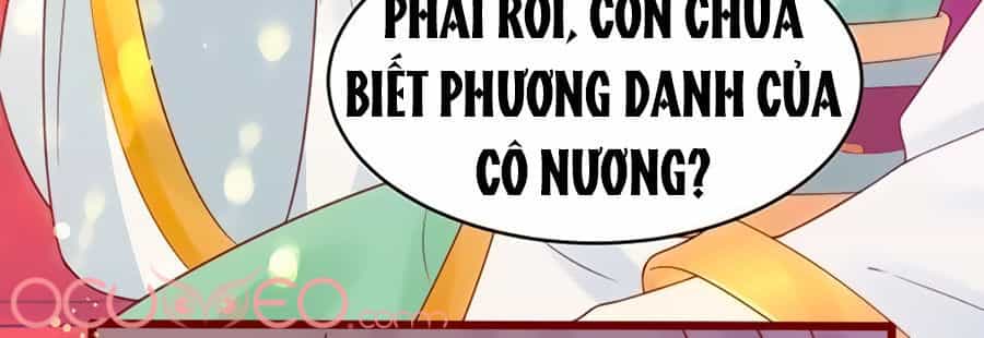Thịnh Thế Lê Hoa Điện - Chương 21 - ảnh 36