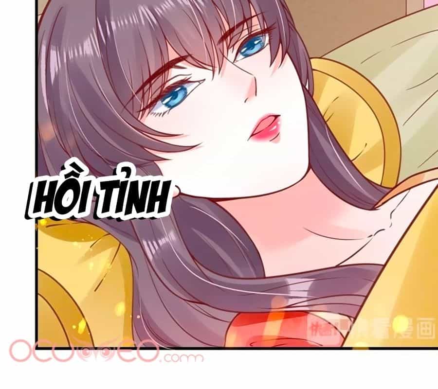 Thịnh Thế Lê Hoa Điện - Chương 27 - ảnh 20