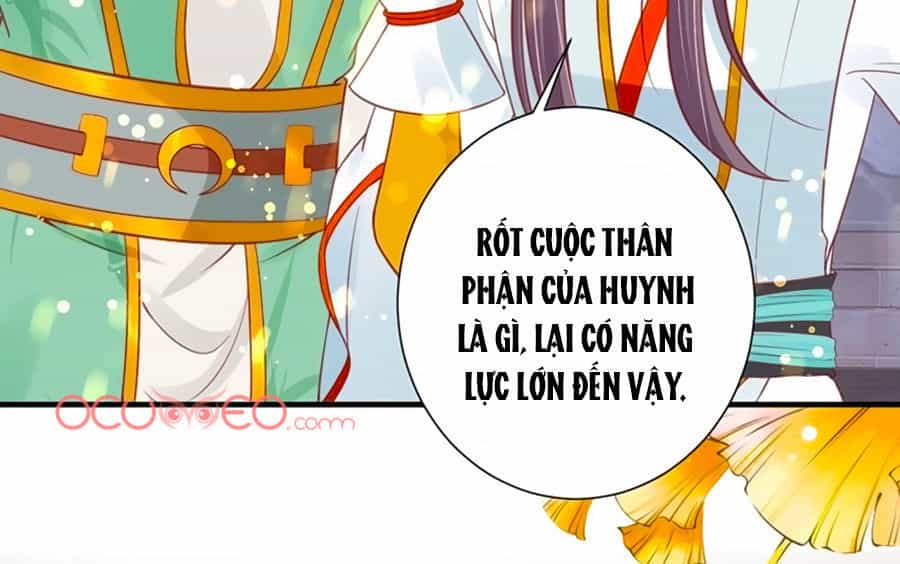 Thịnh Thế Lê Hoa Điện - Chương 29 - ảnh 28
