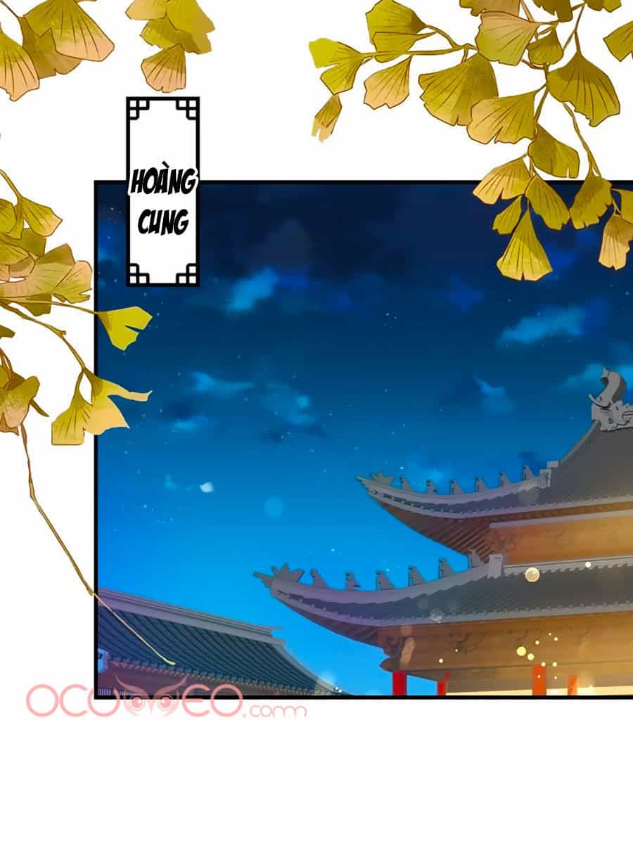 Thịnh Thế Lê Hoa Điện - Chương 36 - ảnh 14