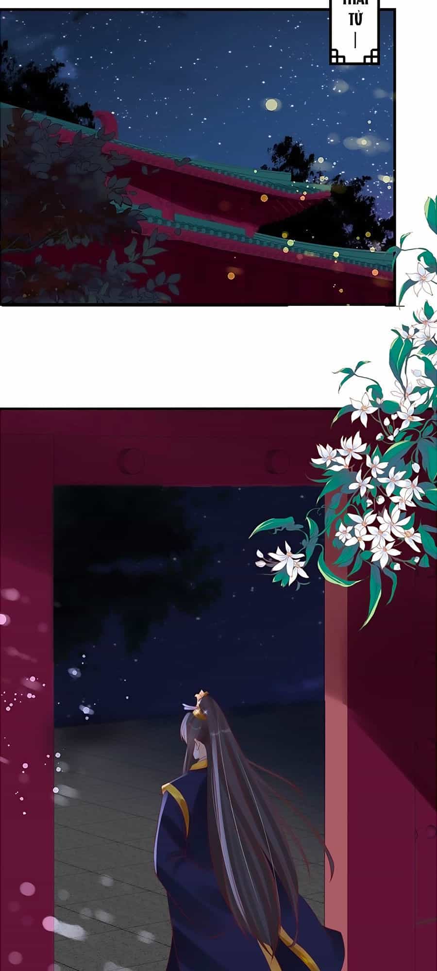 Thịnh Thế Lê Hoa Điện - Chương 43 - ảnh 25
