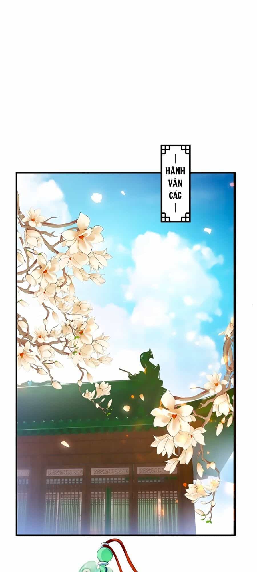 Thịnh Thế Lê Hoa Điện - Chương 53 - ảnh 11