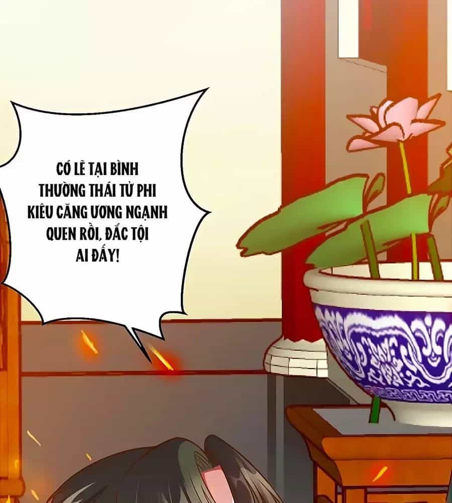 Thịnh Thế Lê Hoa Điện - Chương 64 - ảnh 13