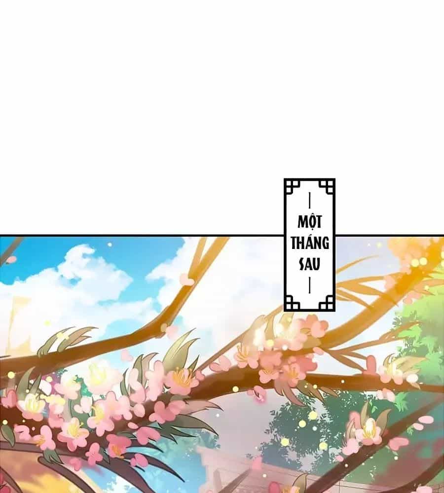 Thịnh Thế Lê Hoa Điện - Chương 68 - ảnh 39
