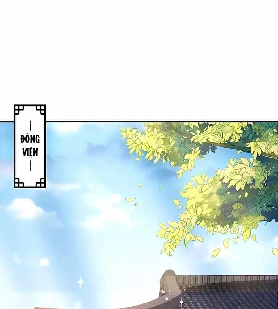 Thịnh Thế Lê Hoa Điện - Chương 70 - ảnh 1
