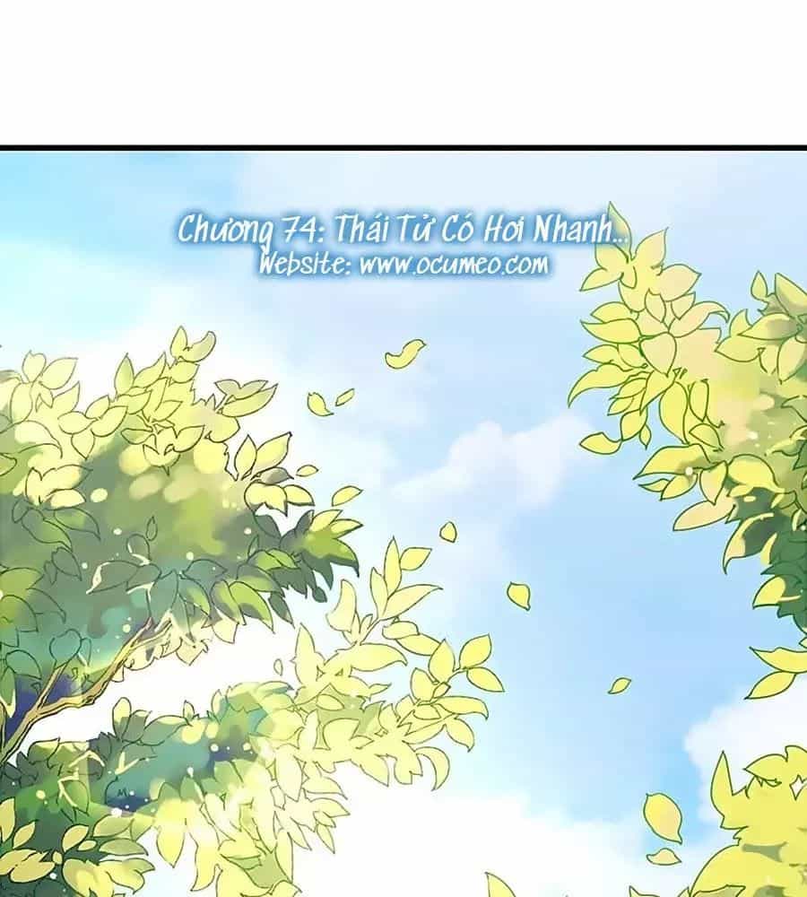 Thịnh Thế Lê Hoa Điện - Chương 74 - ảnh 1