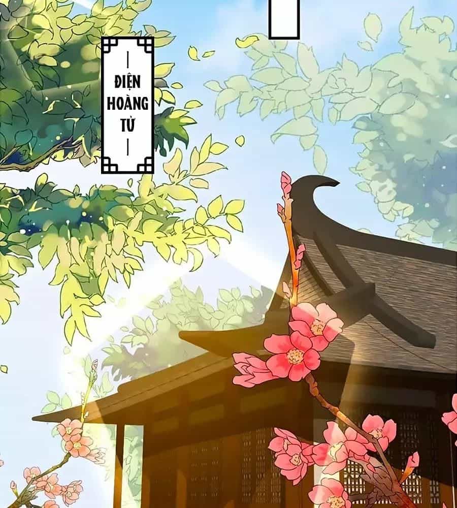 Thịnh Thế Lê Hoa Điện - Chương 74 - ảnh 30