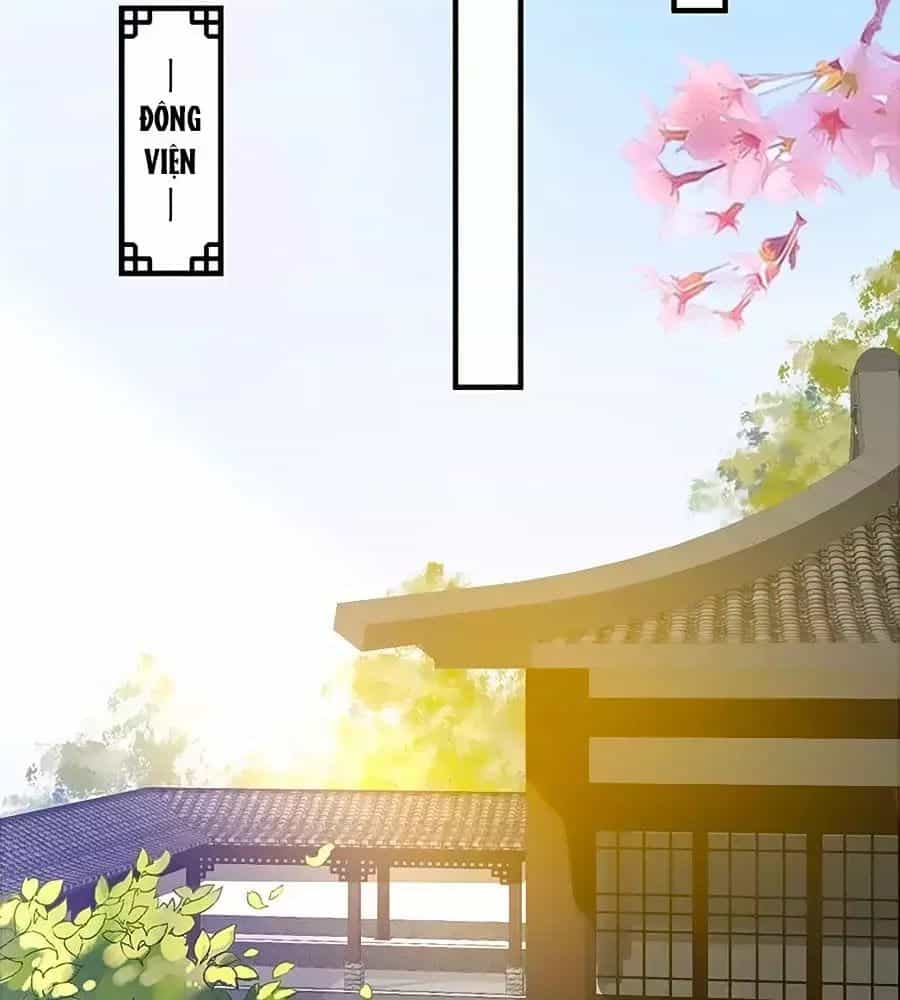 Thịnh Thế Lê Hoa Điện - Chương 76 - ảnh 32
