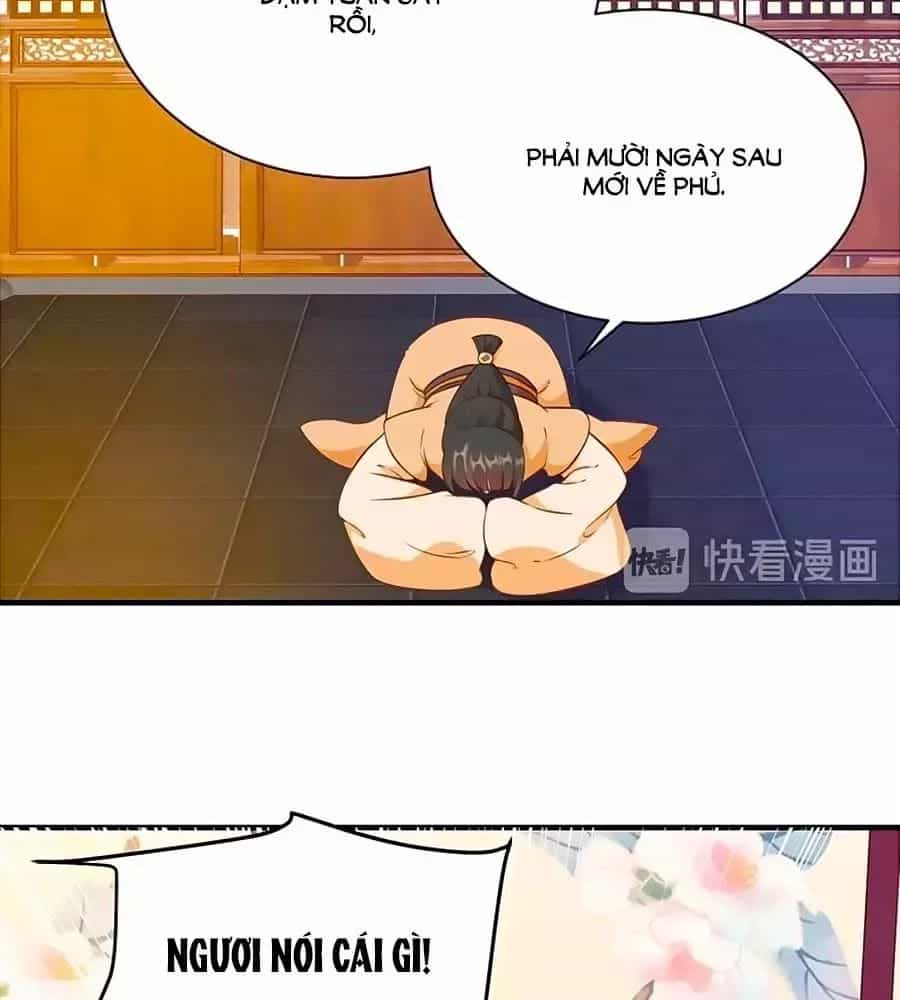 Thịnh Thế Lê Hoa Điện - Chương 79 - ảnh 6