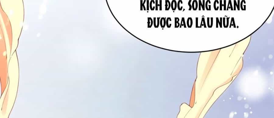 Thịnh Thế Lê Hoa Điện - Chương 8 - ảnh 17