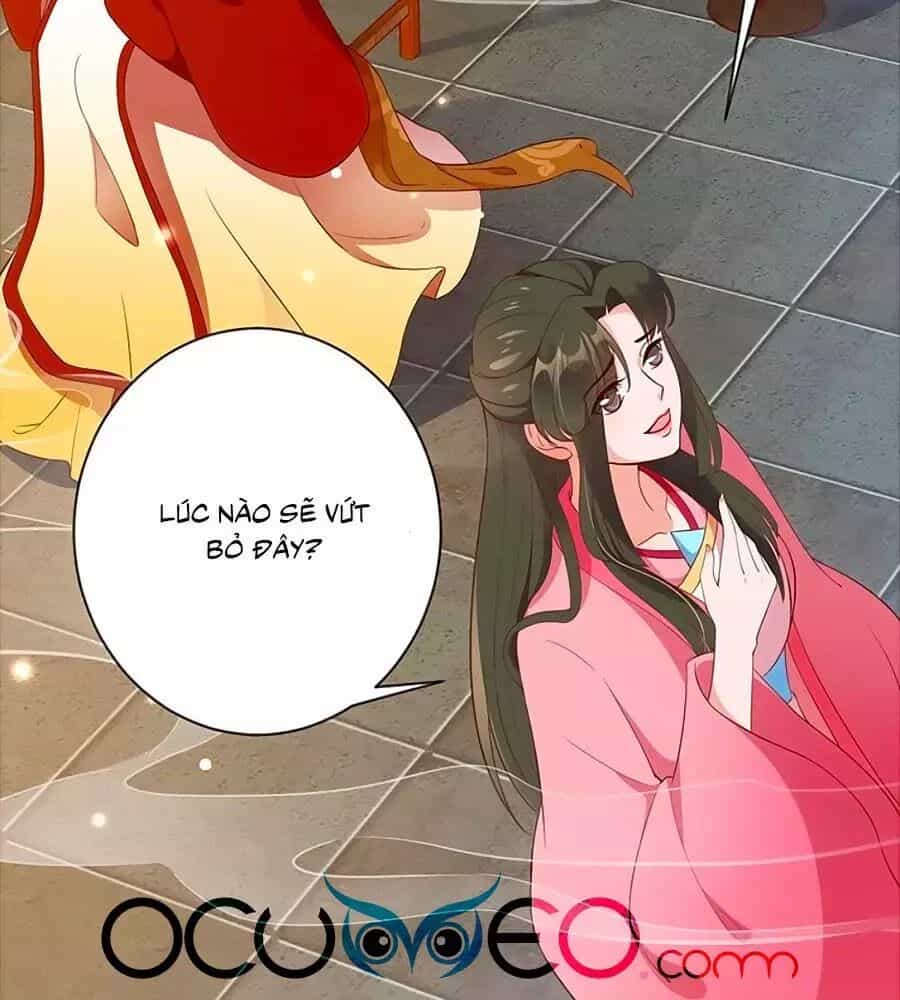 Thịnh Thế Lê Hoa Điện - Chương 89 - ảnh 9