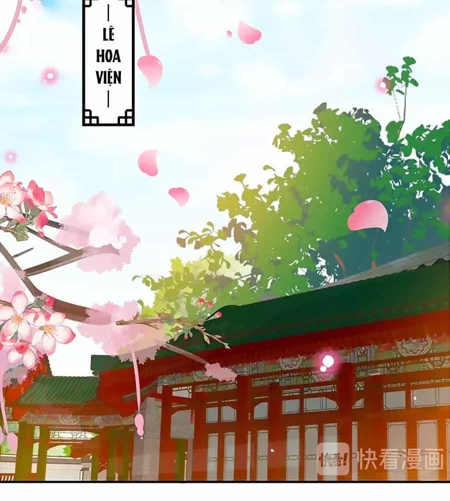 Thịnh Thế Lê Hoa Điện - Chương 91 - ảnh 17