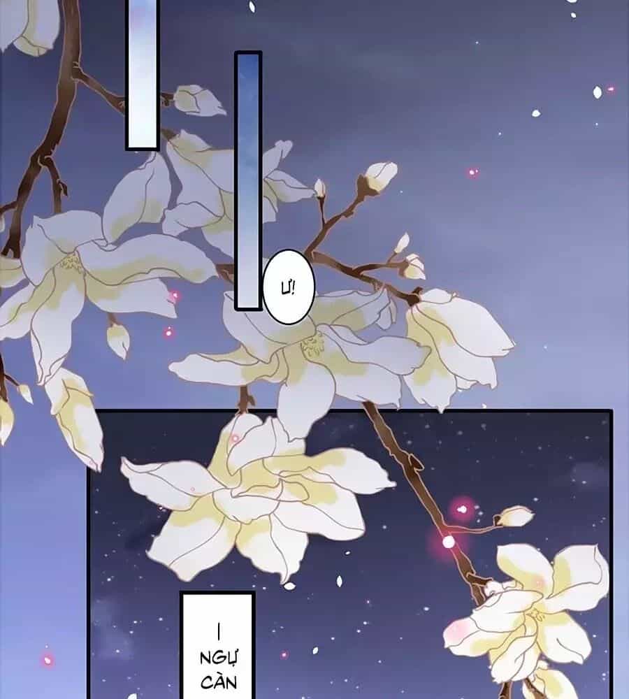 Thịnh Thế Lê Hoa Điện - Chương 96 - ảnh 47