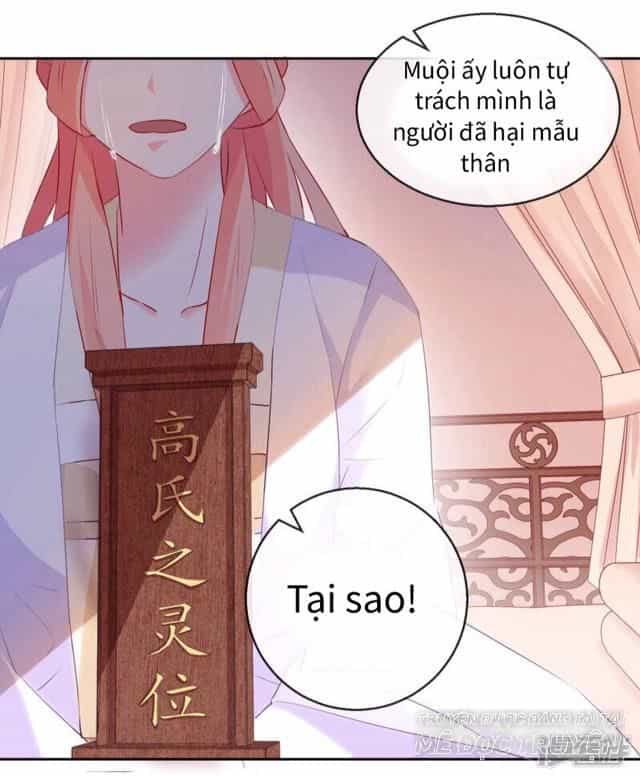 Thịnh Thế Vô Cấu - Chương 14 - ảnh 21
