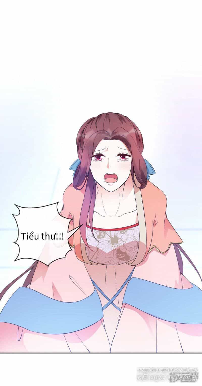 Thịnh Thế Vô Cấu - Chương 16 - ảnh 21