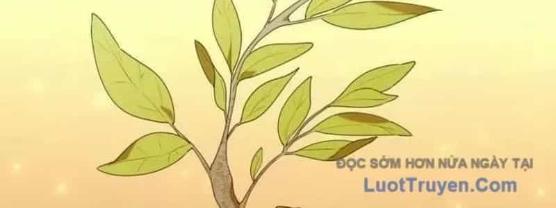 Thợ Săn Của Lớp Gà Con - Chương 53 - ảnh 217