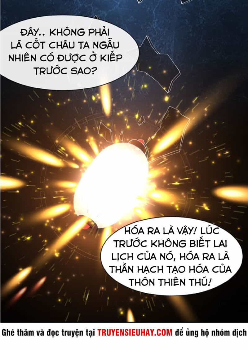 Thôn Phệ Một Thế Giới Tu Tiên - Chương 2 - ảnh 47