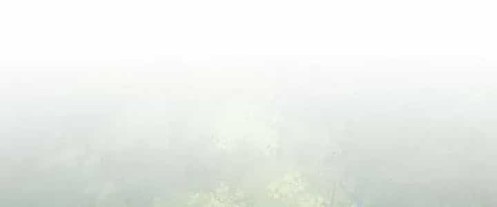 Thôn Trưởng Thôn Tân Thủ - Chương 73 - ảnh 178