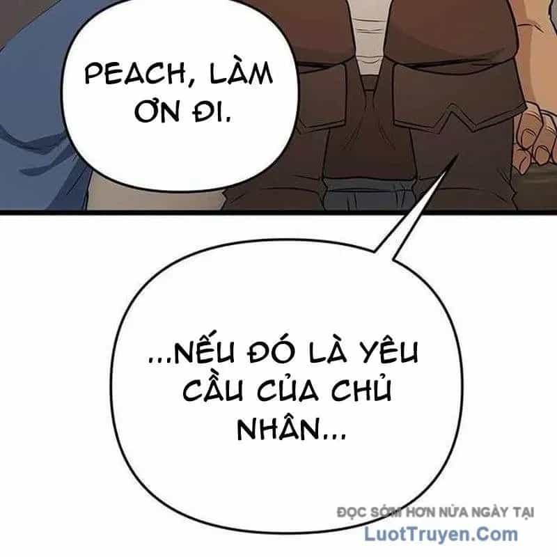 Thủ Hộ Thành Bằng Quái Vật Thuần Hóa - Chương 11 - ảnh 172