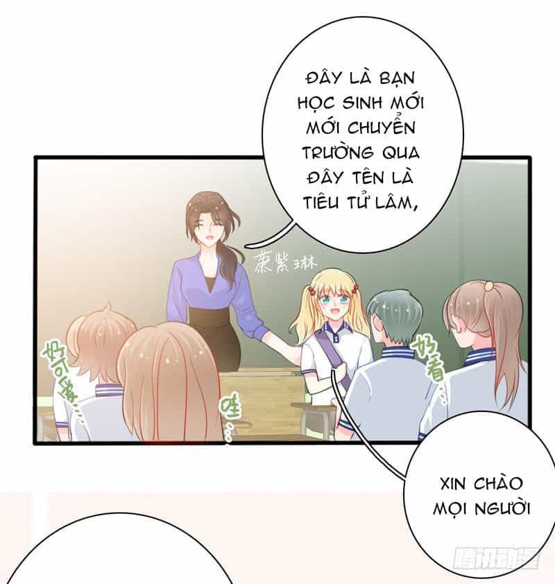 Thư Tay Tình Yêu Của Sơ Hạ - Chương 3 - ảnh 11