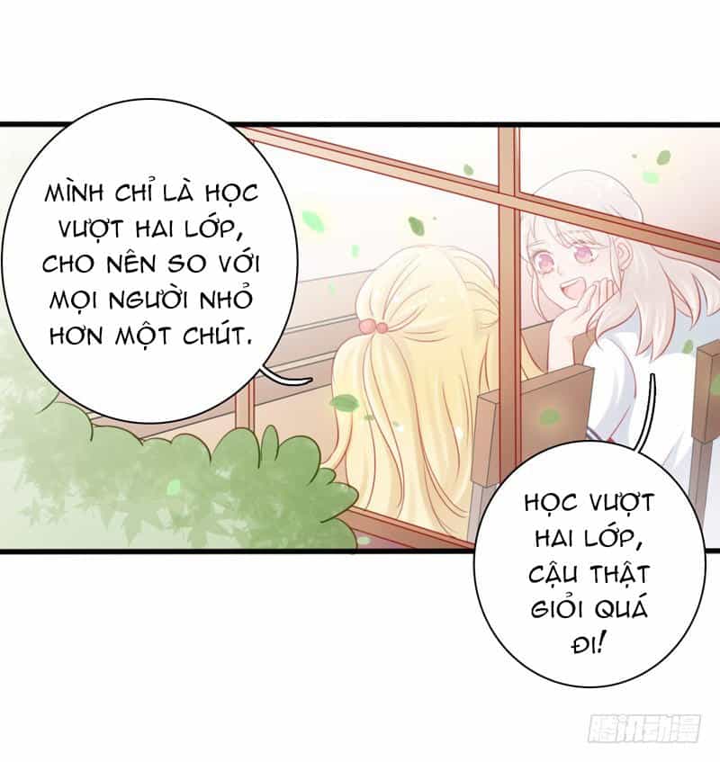 Thư Tay Tình Yêu Của Sơ Hạ - Chương 3 - ảnh 15
