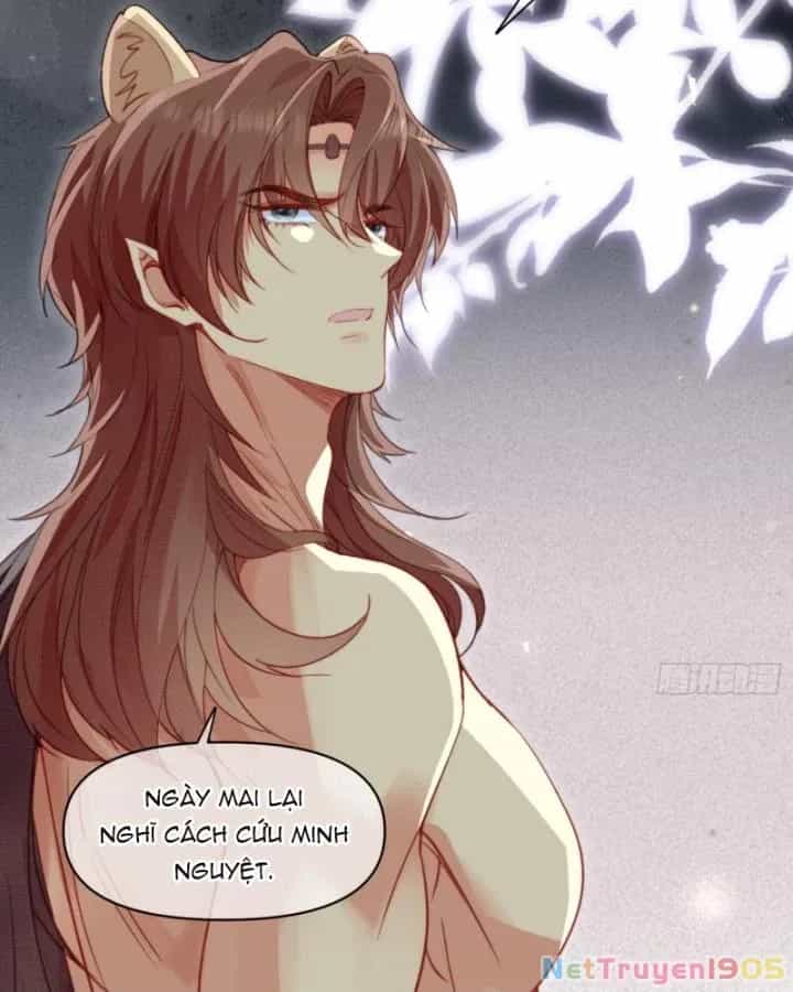 Thú Thế Ngọt Sủng, Tôi Ở Dị Giới Làm Vũ Thần - Chương 58 - ảnh 9