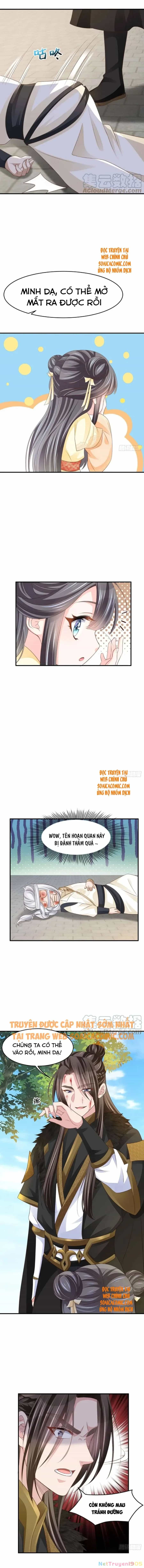 Thuần Hóa Ba Ba Bạo Quân - Chương 37 - ảnh 4