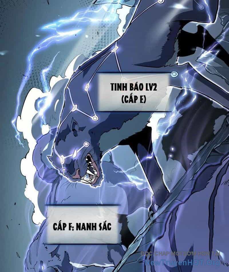Thức Tỉnh Toàn Chức - Chương 19 - ảnh 14