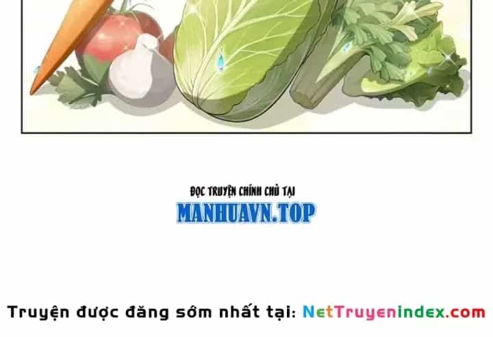 Thương Nhân Buôn Lậu Thời Mạt Thế: Ta Dùng Que Cay Đổi Vàng Thỏi - Chương 37 - ảnh 24