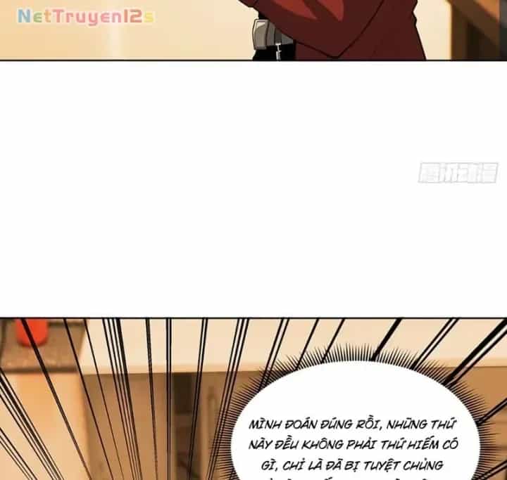 Thương Nhân Buôn Lậu Thời Mạt Thế: Ta Dùng Que Cay Đổi Vàng Thỏi - Chương 49 - ảnh 54