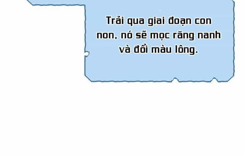 Thương Nhân Thánh Thần - Chương 31 - ảnh 24